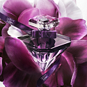 Lancome La Nuit Trésor Le Parfum parfumovaná voda pro 100 ml