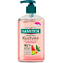 Sanytol tekuté mydlo kuchyne, 250 ml