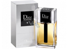 Christian Dior Homme toaletná voda pre mužov 100 ml