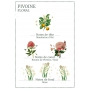 Panier des Sens Žiarivá pivonka pleťové sérum 30 ml