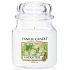 Yankee Candle Linden Tree - Lipa vonná sviečka Classic strednej sklo 411 g
