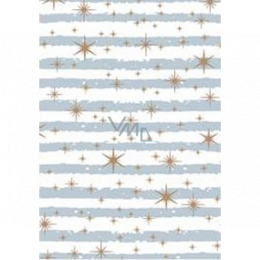 Ditipo Darčekový baliaci papier 70 x 500 cm Biely modrošedej pruhy a zlaté hviezdičky
