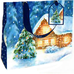 Nekupto Darčeková papierová taška luxusná 18 x 16 cm Vianočný snehový domček