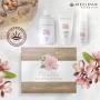 Regina Mandle krém na ruky 75 ml + pleťový krém 50 ml + čistiace mlieko 200 ml, darčeková sada