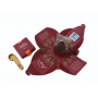 English Tea Shop Bio Rooibos čistý sypaný 80 g + drevená odmerka so sponou