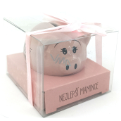Albi Prasiatko pre radosť Pokladnička Najlepšia mama 6 x 7,5 cm