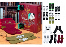 Epee Merch Adventný kalendár Harry Potter 12 dní ponožky