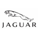 Jaguar Jaguar