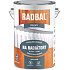 Radbal Profi S2120 špeciálna farba na radiátory, 1000 biely, 4 l