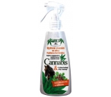Bione Cosmetics Cannabis bylinné mazanie so silou Gaštanu konského 260 ml