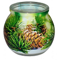 Admit Pine dekoratívne aromatická sviečka v skle 80 g