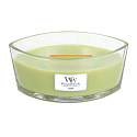 Woodwick Fern - Papradina vonná sviečka s dreveným širokým knôtom a viečkom sklo loď 453 g