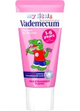 Vademecum Junior Mild Strawberry zubná pasta 50 ml