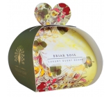 English Soap Šípková ruža prírodné parfumované mydlo s bambuckým maslom 3 x 20 g