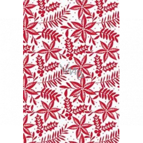 Ditipo Darčekový baliaci papier 70 x 500 cm Biely červené vetvičky