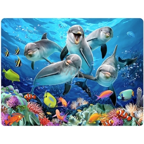 Prime3D pohľadnice - Delfíny 16 x 12 cm
