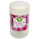 Air Wick Pink Sweet Pea - Ružový hrachor XXL vonná sviečka sklo 310 g