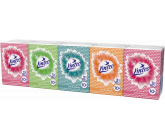 Linteo Mini papierové vreckovky 3 vrstvové 10 x 10 kusov