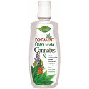 Bione Cosmetics Dentamint Cannabis ústna voda 500 ml