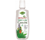 Bion Cosmetics Dentamint Cannabis ústna voda 500 ml