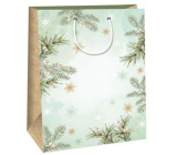 Ditipo Darčeková papierová taška 32,4 x 10,2 x 45,5 cm Vianočné svetlo zelená - vetvičky, vločky