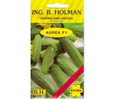 Holman F1 Aurea uhorky 2,5 g
