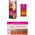 Palette Perfect Color Care farba na vlasy 390 Svetle medený