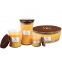 WoodWick Seaside Mimosa - Mimóza na pobreží vonná sviečka s dreveným širokým knôtom a viečkom sklo loď 453 g