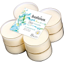 Bolsius True Moods In Balance White Tea & Mint Leaves - Biely čaj a listy mäty maxi vonné čajové sviečky 8 kusov, doba horenia 8 hodín