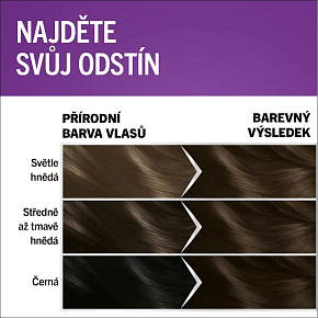 Schwarzkopf Perfect Mousse Permanent Foam Color farba na vlasy 400 Ľadové Espresso