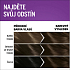 Schwarzkopf Perfect Mousse Permanent Foam Color farba na vlasy 400 Ľadové Espresso