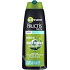 Garnier Fructis Men Daily Energy posilňujúci šampón pre silné vlasy 250 ml