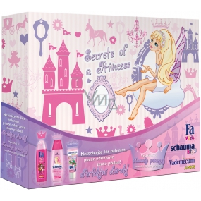Schauma kids Pre princezné Šampón 250 ml + Fa Sprchový gel 250 ml + Vademecum zubná pasta 50 ml dievčenské kazeta