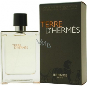 Hermes Terre D Hermes toaletná voda pre mužov 100 ml