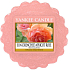 Yankee Candle Sun Drenched Apricot Rose - Vyšisovaná marhuľová ruža vonný vosk do aromalampy 22 g