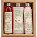 Bohemia Gifts Nostalgia Spa kúpeľová kúpeľ 250 ml + sprchový gél 200 ml + šampón na vlasy 200 ml, kozmetická sada