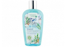 Bohemia Gifts Dead Sea Mŕtve more, Extrak z morských rias a soľou šampón pre všetky typy vlasov 250 ml