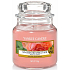 Yankee Candle Sun Drenched Apricot Rose - vyšúchaný marhuľová ruža vonná sviečka Classic malá sklo 104 g
