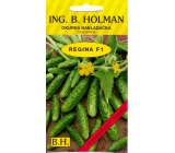 Holman F1 Regina uhorky 2,5 g