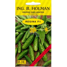 Holman F1 Regina uhorky 2,5 g