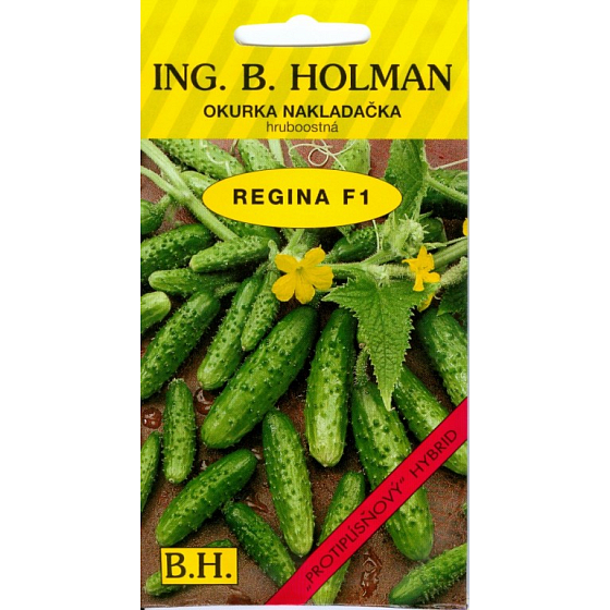 Holman F1 Regina uhorky 2,5 g