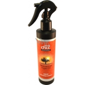 Salon Chic Professional Moroccan Argan Oil vlasový sprej na ochranu vlasov pred teplom a suchom 200 ml