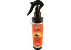 Salon Chic Professional Moroccan Argan Oil vlasový sprej na ochranu vlasov pred teplom a suchom 200 ml