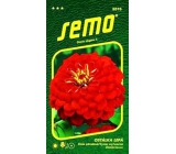 Semo Ostálka krásna Cherry Queen červená 0,7 g