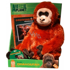EP Line Animal Planet Orangutan plyšová hračka s DVD, odporúčaný vek 3+
