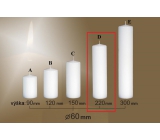 Lima Gastro hladká sviečka biela valec 60 x 220 mm 1 kus