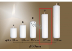 Lima Gastro hladká sviečka biela valec 60 x 220 mm 1 kus