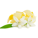 Millefiori Milano Natural Lemon Grass - Citrónová tráva Difuzér 250 ml + 8 stebiel v dĺžke 30 cm do stredne veľkých priestorov vydrží minimálne 3 mesiace