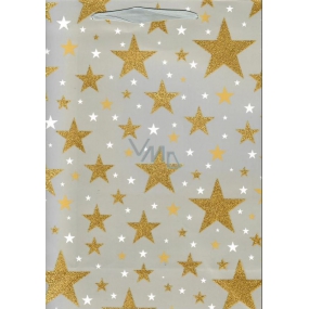 Ditipo Darčeková papierová taška Glitter 26,4 x 13,6 x 32,7 cm sivá, zlaté hviezdy QAB