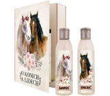 Bohemia Gifts O koňoch a ľuďoch sprchový gél 200 ml + šampón na vlasy 200 ml, kniha kozmetická sada